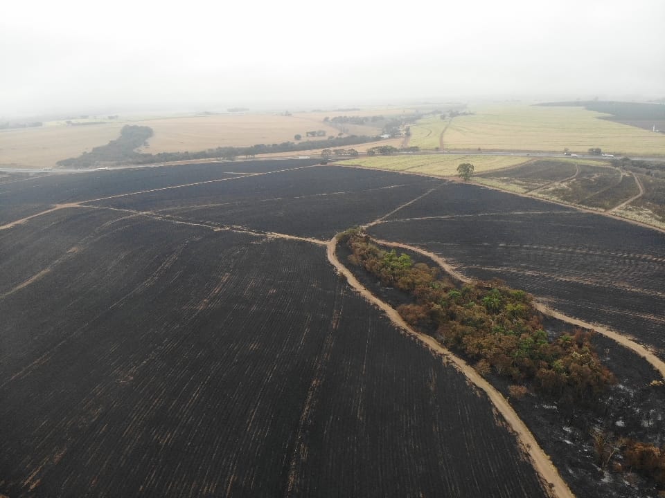 Foto 2 de 8 — Empresa é autuada em mais de R$ 1,4 milhão após queimada destruir área em Matão